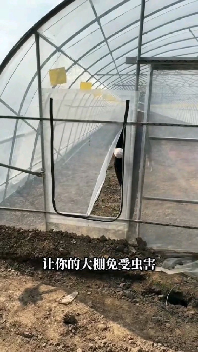 大棚里的虫子是不是快把你逼疯了?刚冒头的菜苗一夜被啃光