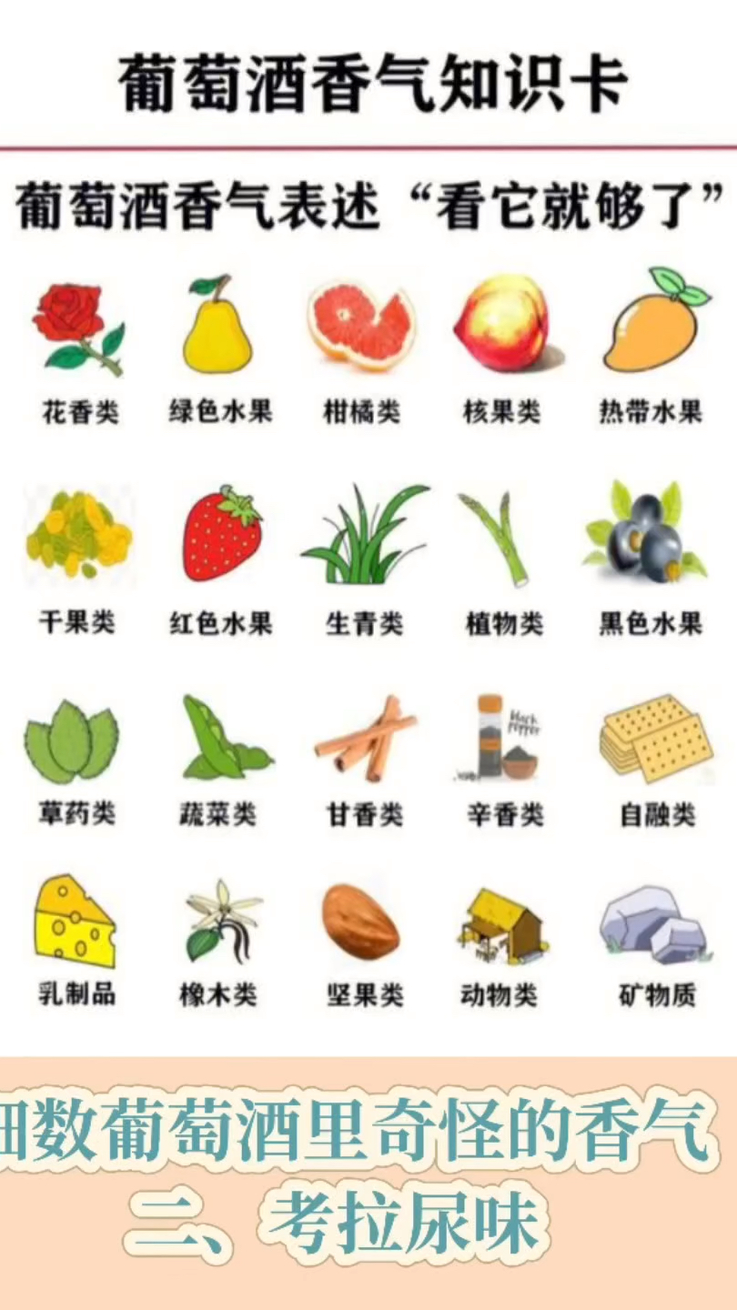 葡萄酒知识360｜细数葡萄酒里奇怪的香气（二、考拉尿味）