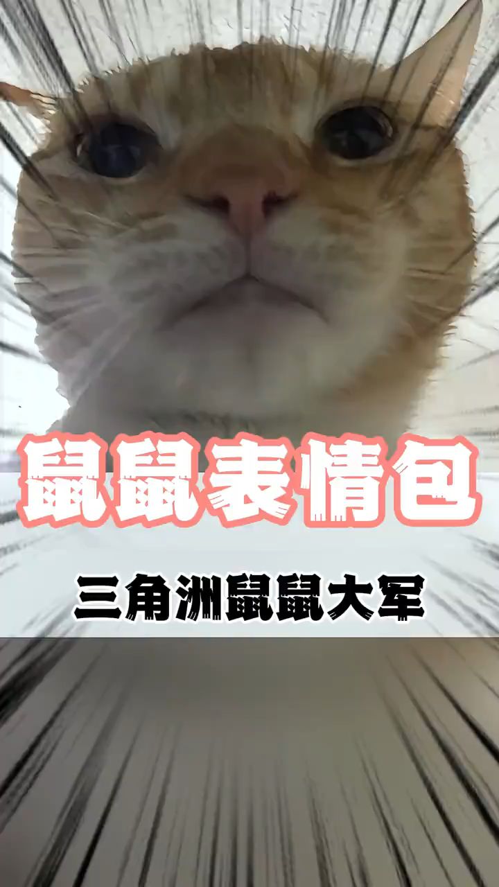 鼠鼠表情包的由来