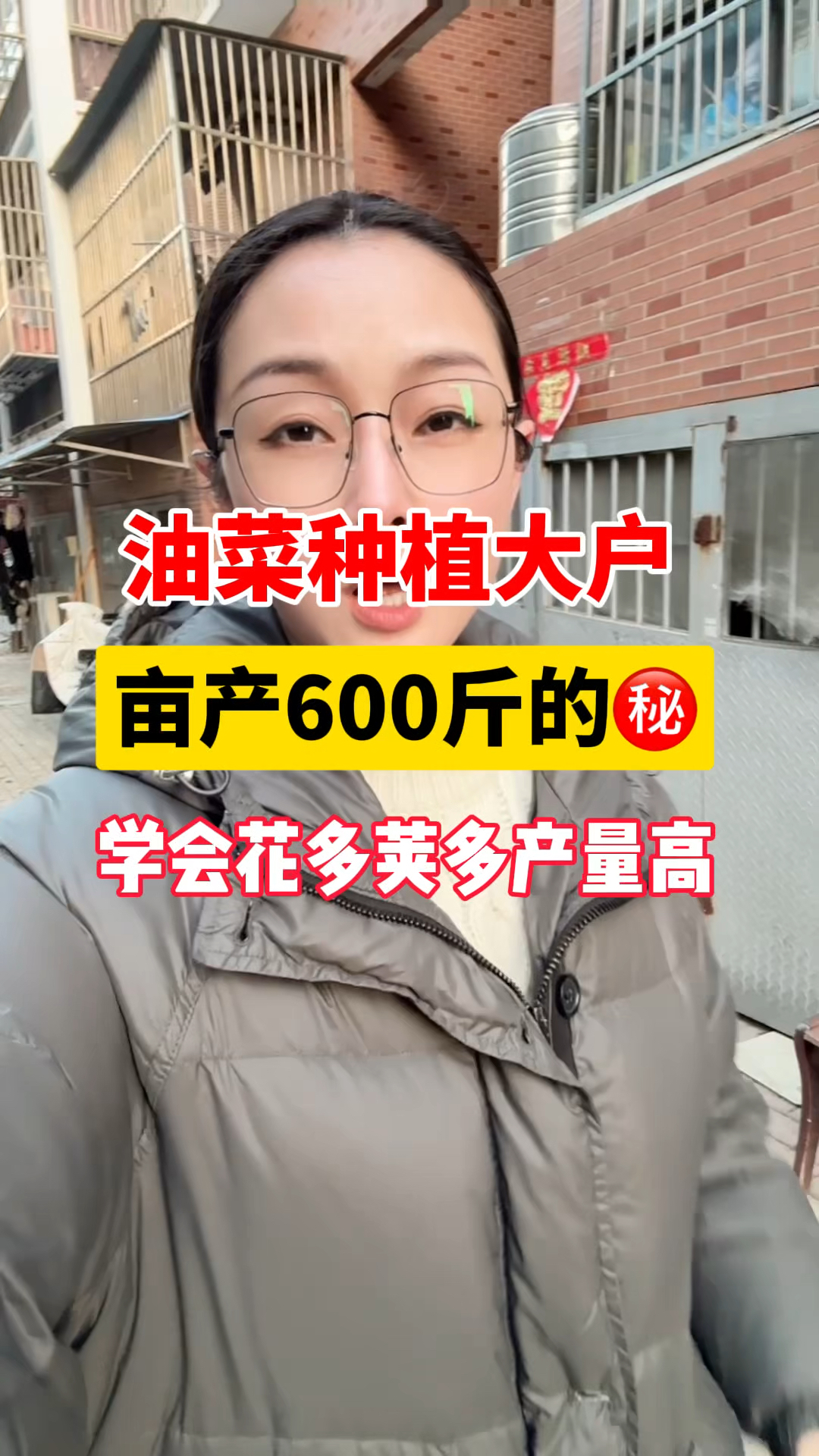 油菜用什么药效果好?