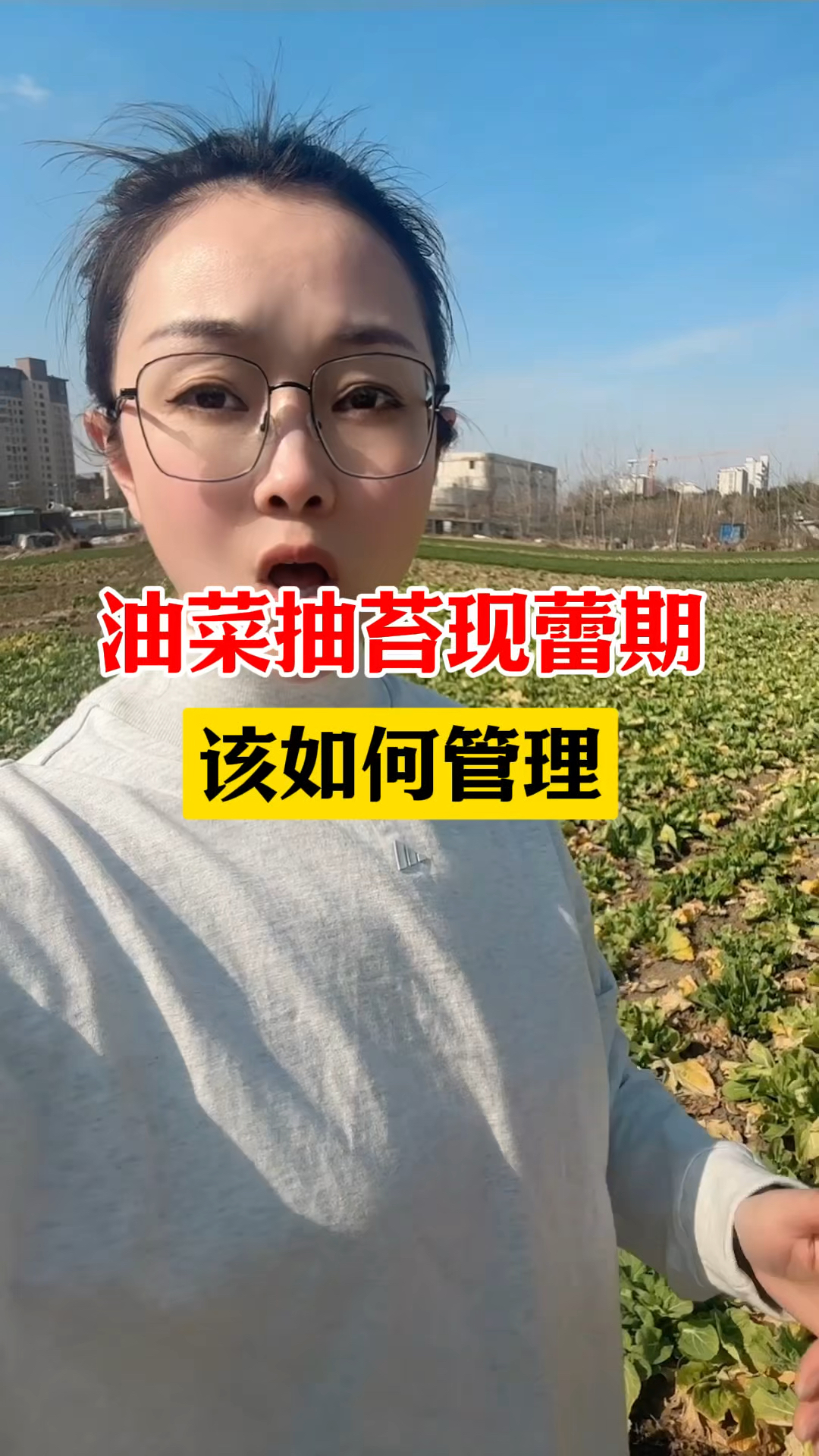 油菜抽薹现蕾期该如何管理