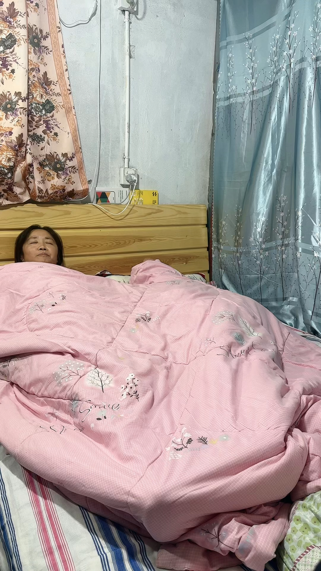晚上老婆炖的豌豆炖排骨,真的太好吃了吃的太多了