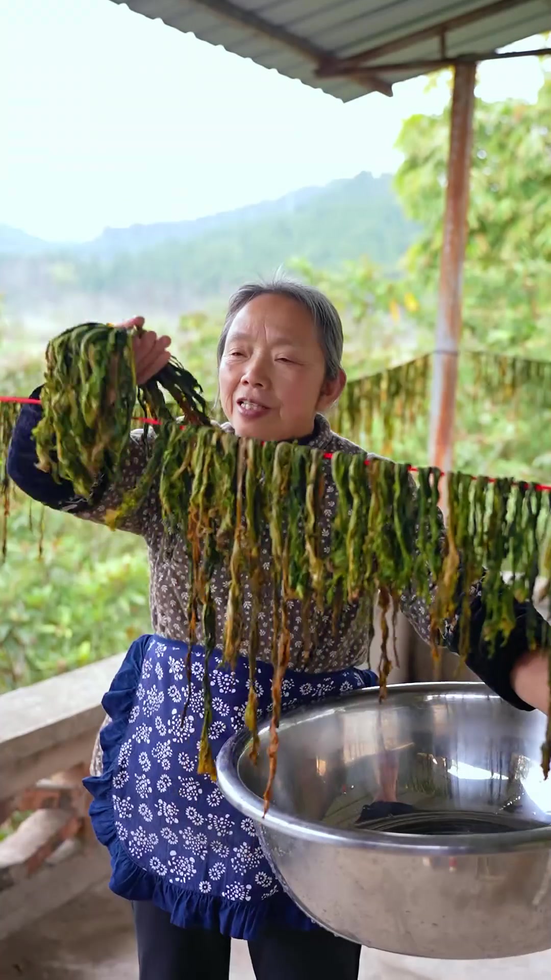 上个月捡了些榨菜茵茵,做成我们四川传统的老盐菜