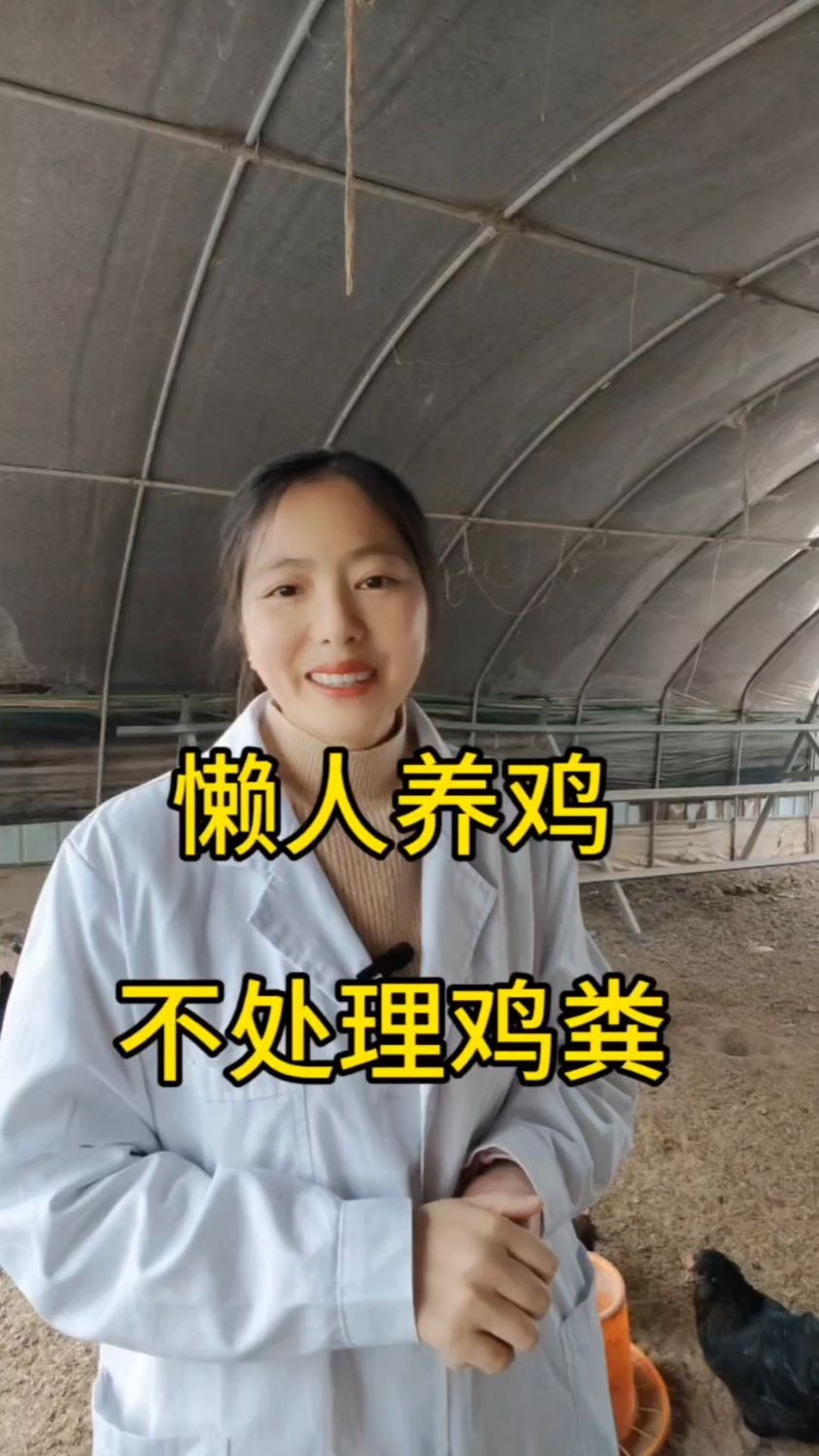 楼顶养鸡,体验型农庄,想要没有鸡粪的都可以做