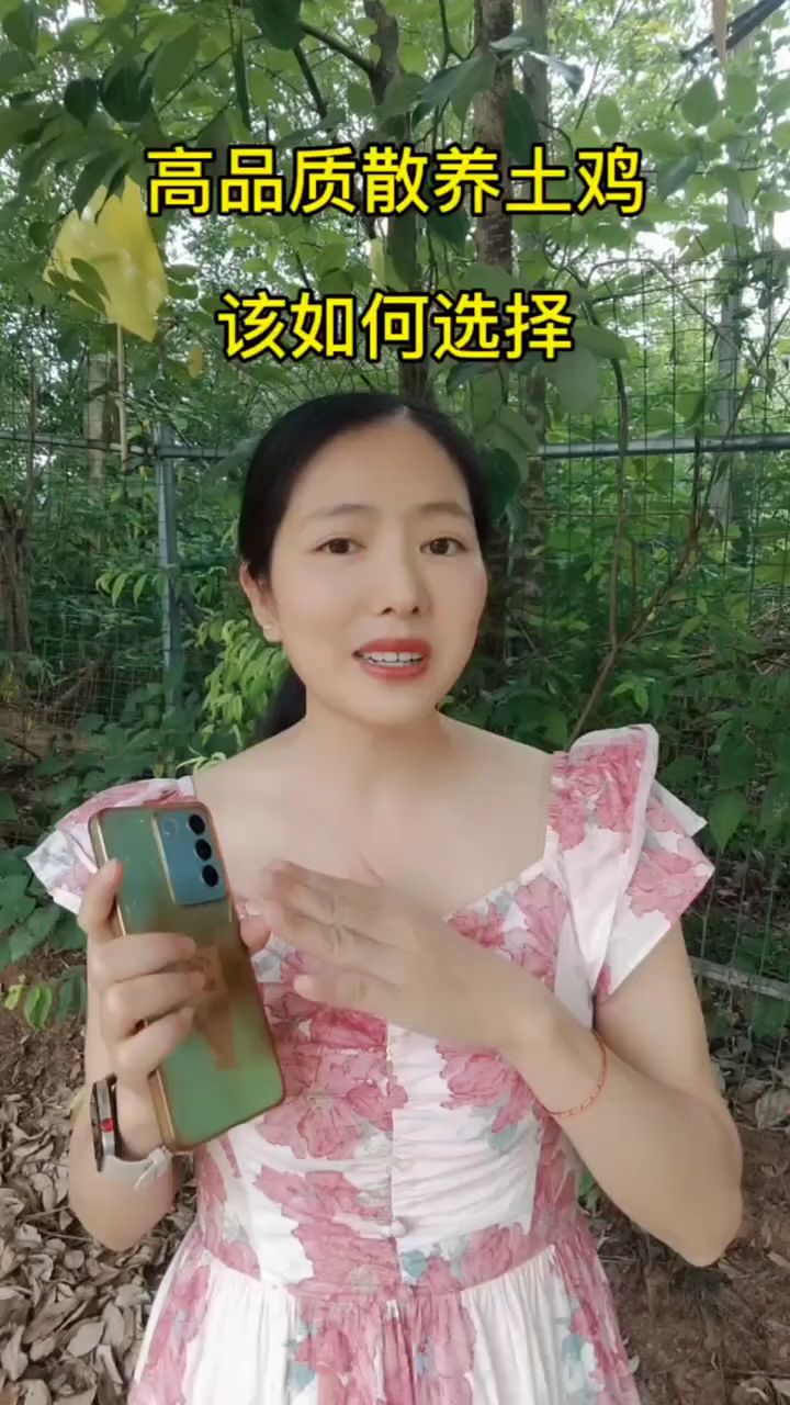 你你准备养什么品种的蛋鸡呢 #农村养鸡#脱温鸡苗 #养鸡