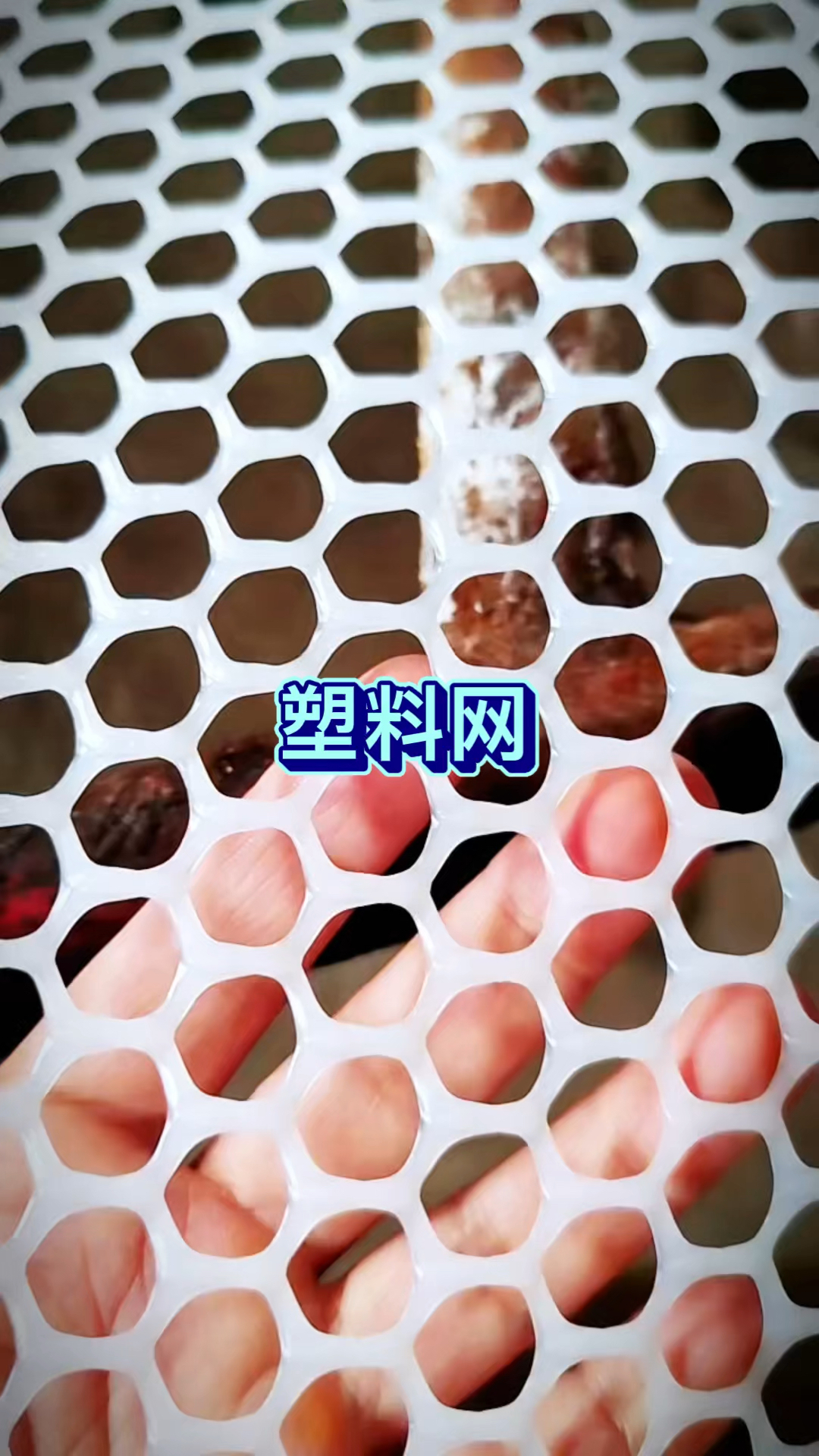 养鸡鸭漏粪网 墙体抗裂耐酸碱塑料网 育雏养殖网 阳台防护网