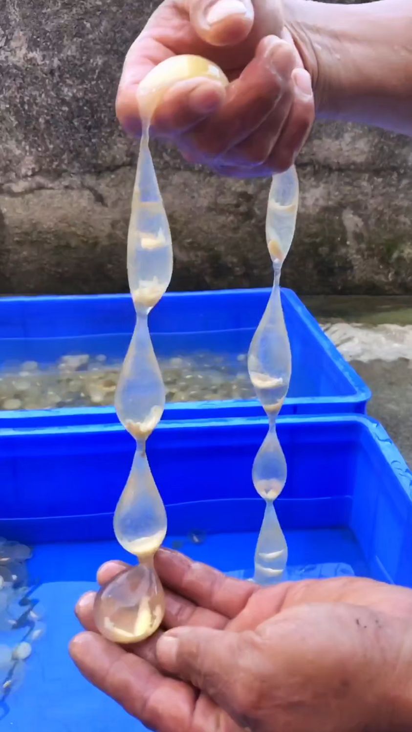 蛋得种类千千万,我分享几种你记得点赞!