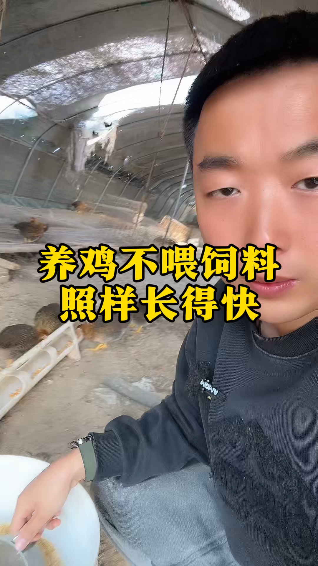 养鸡不喂饲料，照样长得快