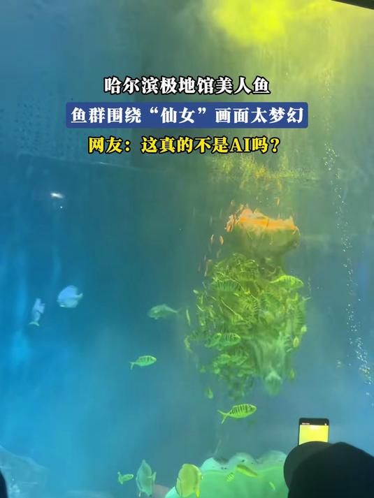 哈尔滨极地馆美人鱼，鱼群围绕“仙女”画面太梦幻
