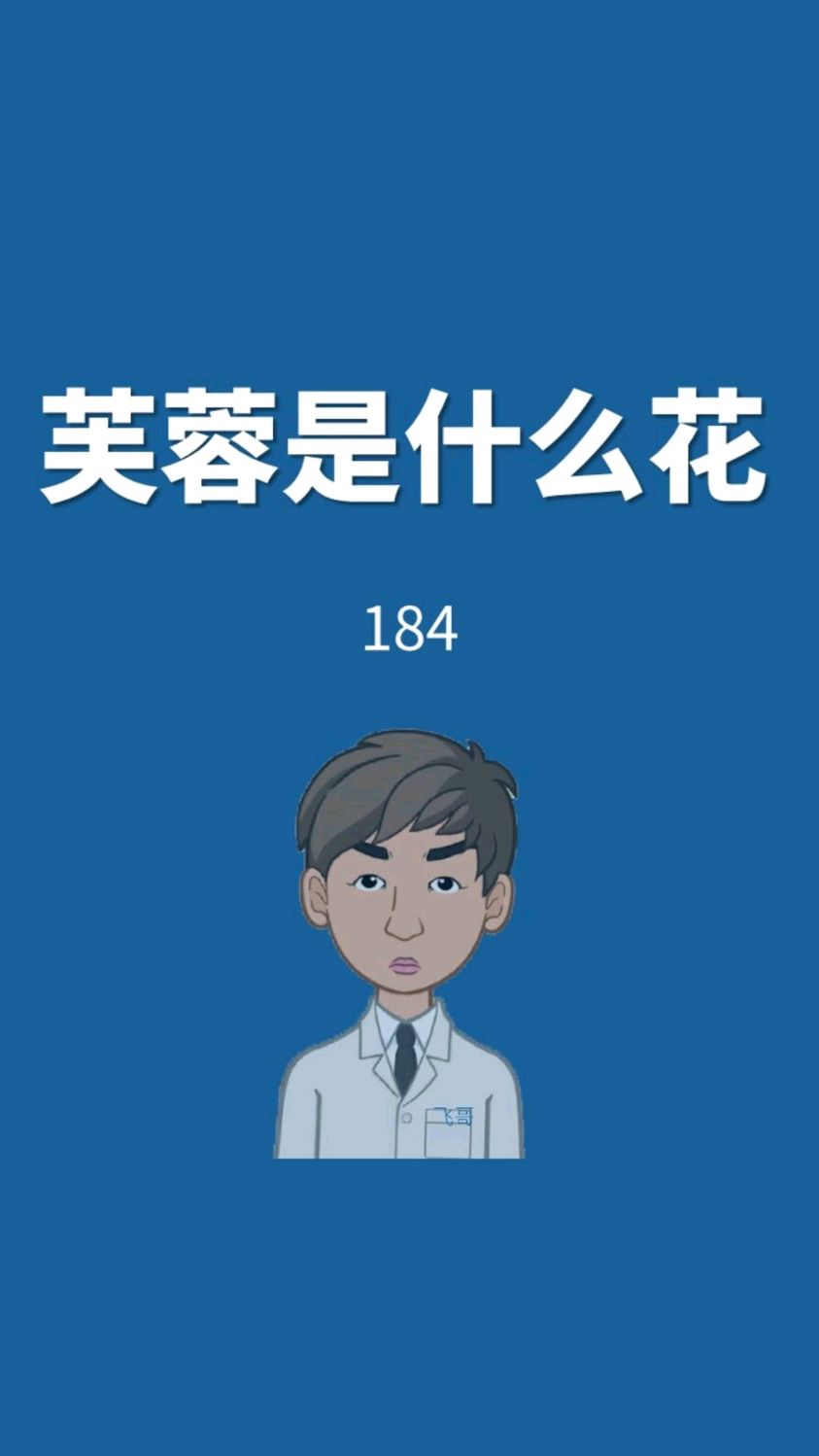 芙蓉是什么花