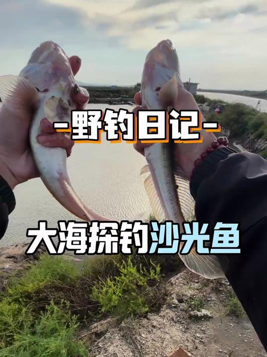 体验海边钓鱼，坐上大哥的船去里面钓“大爬地虎”！