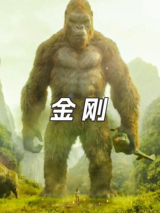 百米金刚大战八爪鱼