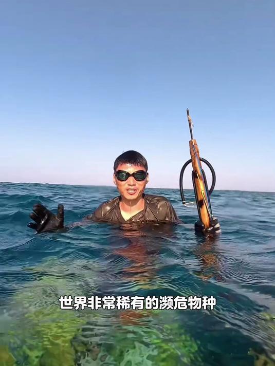 埃及荒岛生存探险！自制鱼叉潜海遇美人鱼儒艮，还邂逅稀有绿海龟
