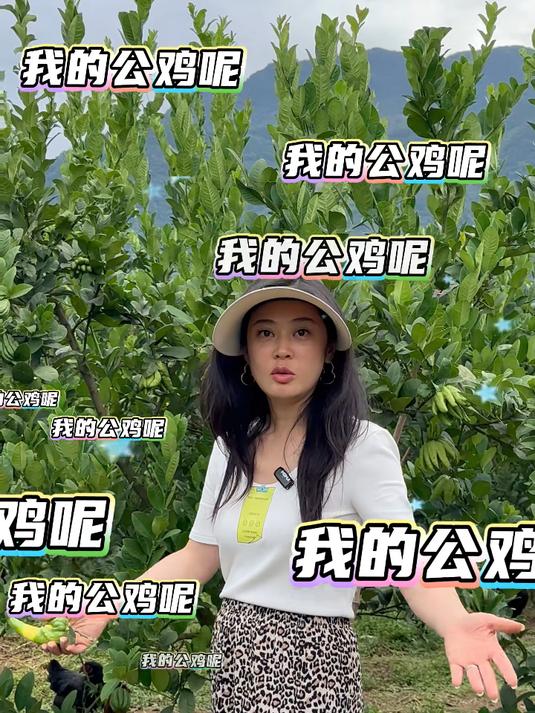 消失的公鸡:这可是我给VIP预留的散养77五百多天的黑公鸡啊!