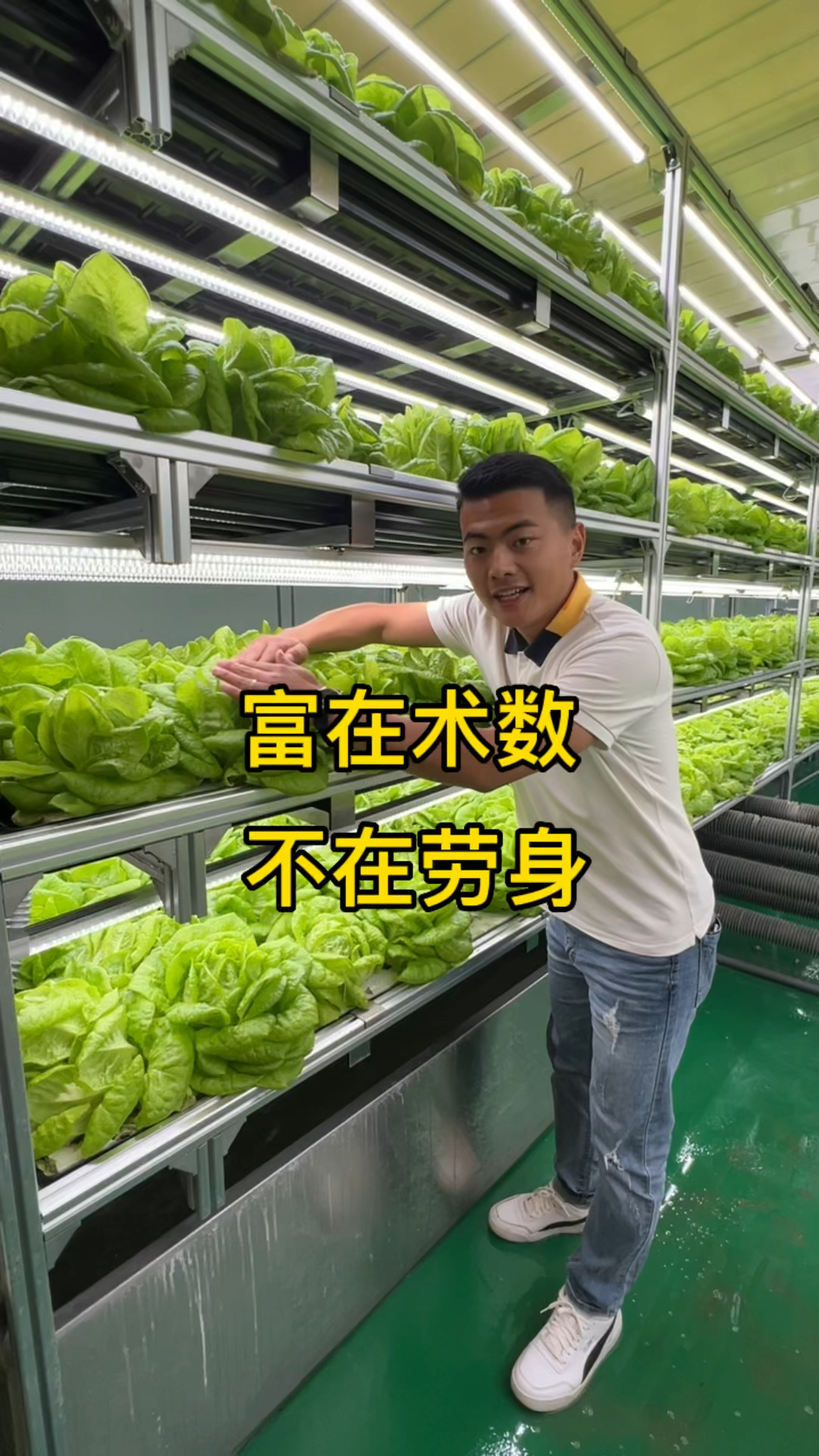 富在术数,不在劳身