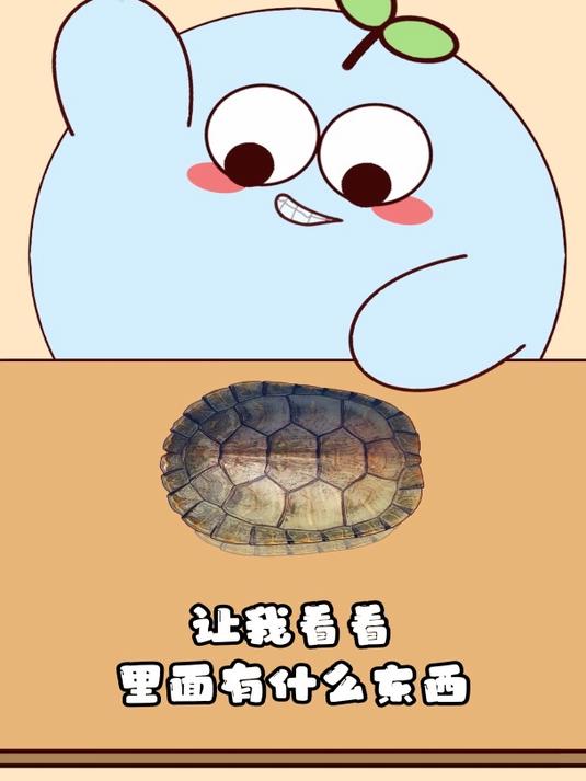 谁把我变成乌龟了啊?