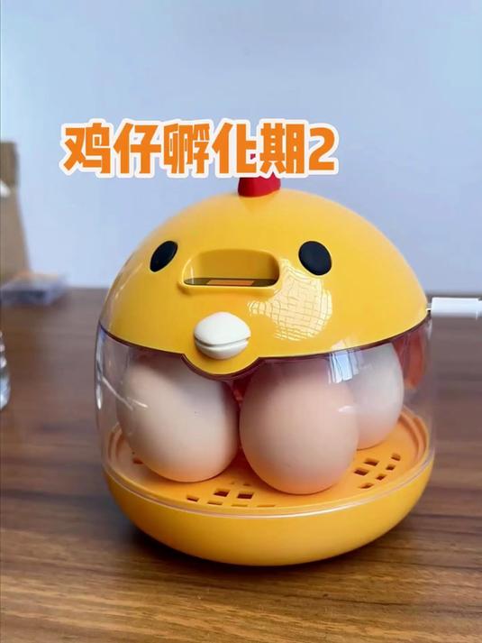 浅浅期待一下芦丁鸡的诞生吧