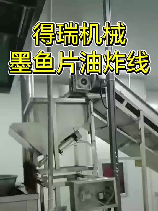 墨鱼片油炸设备,可炸膨化类产品