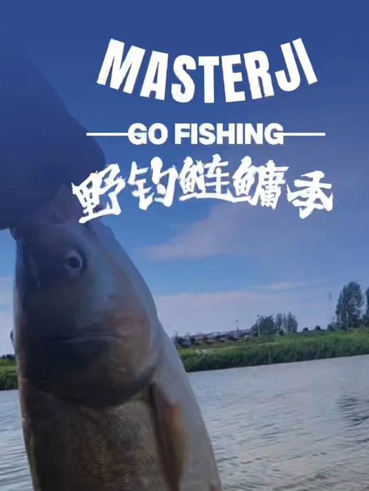 野钓鲢鳙季21期，有交流，小白鲢小杂鱼，口乱#浮钓鲢鳙# #钓鱼# #野钓#