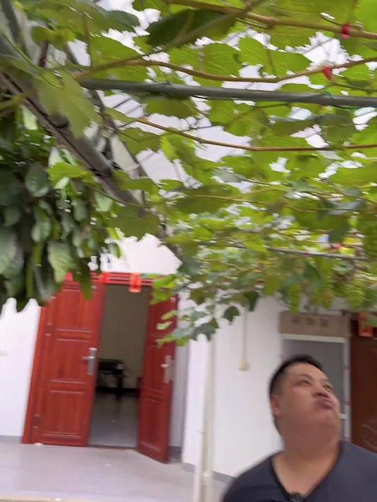 今天特地带了个四年的西洋鸭给总厨做