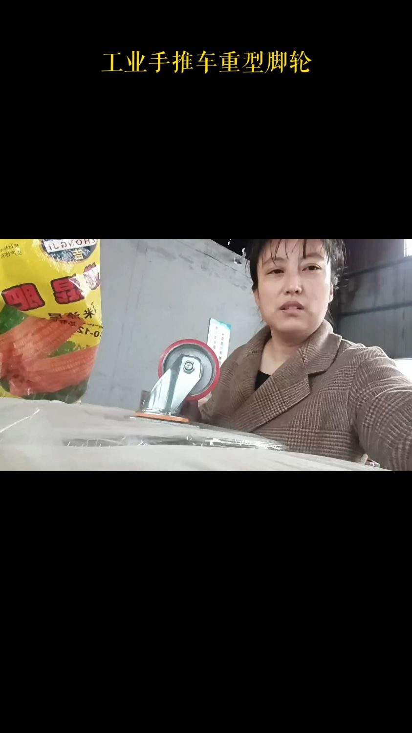 工业手推车重型脚轮