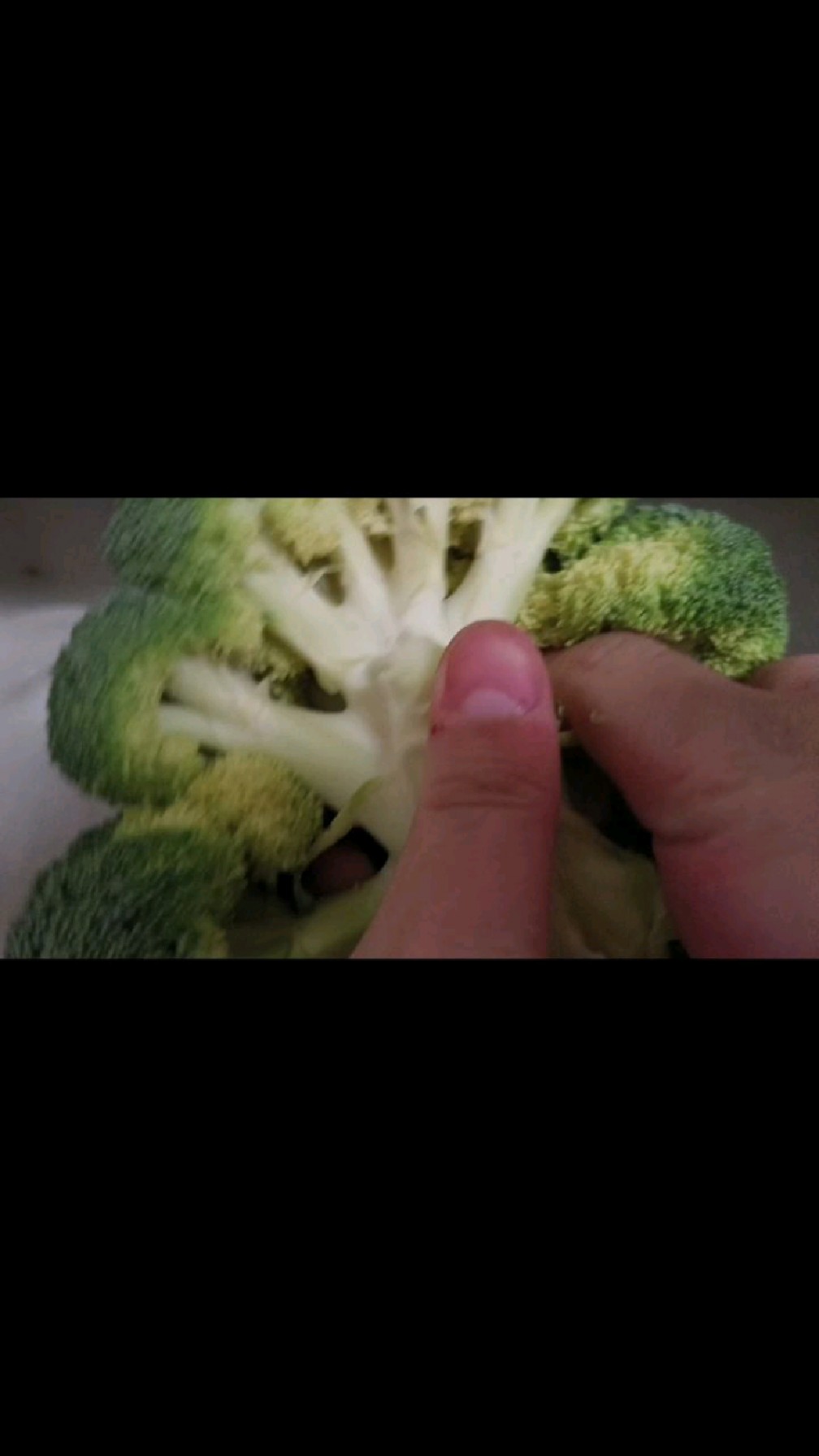 香菜的摆烂日记第二天