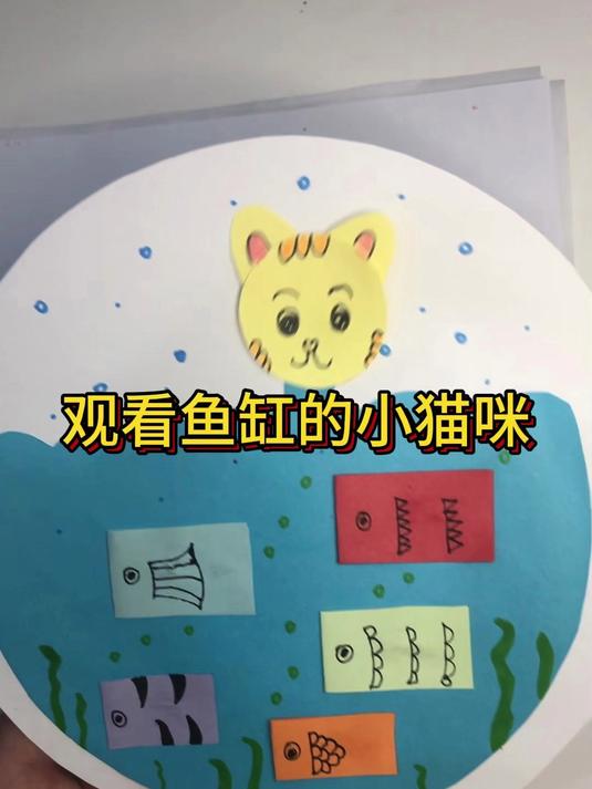 观看鱼缸的小猫咪