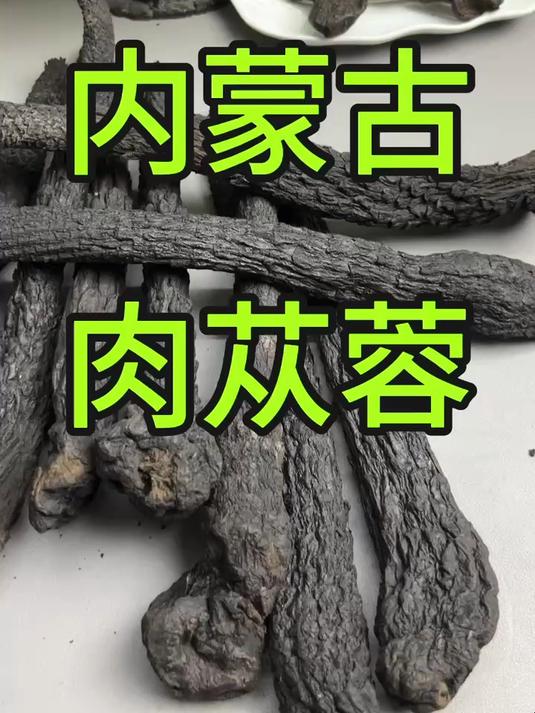 肉苁蓉,选择内蒙古产地的