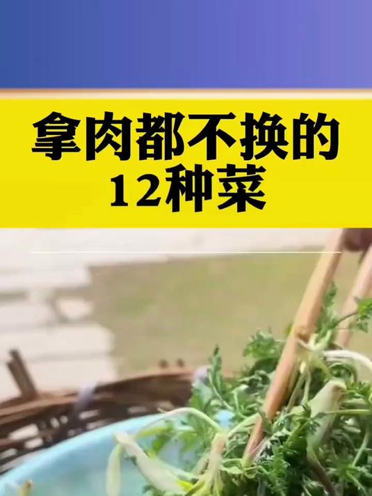 拿肉都不换的十二种菜