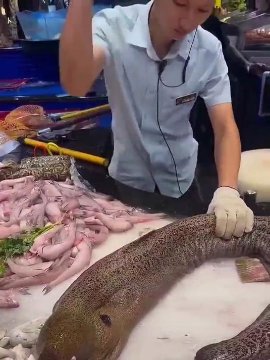 处理鳗鱼有多难？吃上一口美味不是容易的