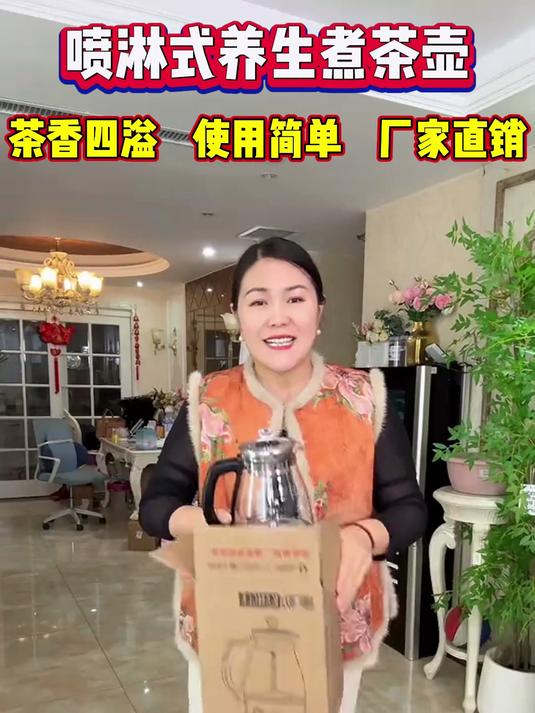 喷淋式养生壶家用大容量多功能煎药壶煮花茶