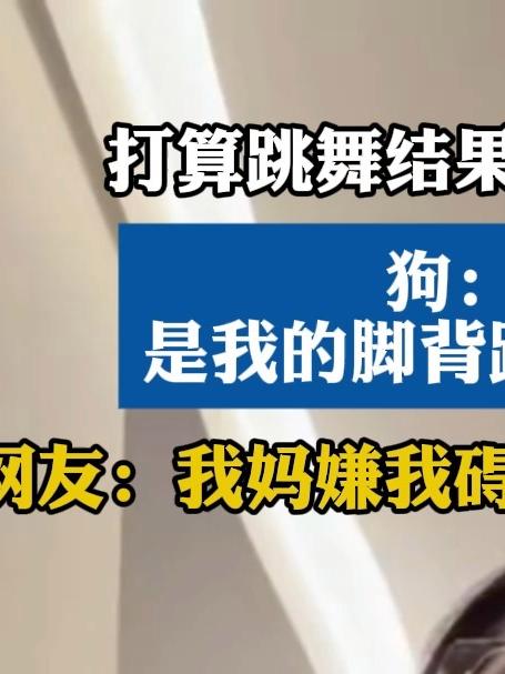 狗:对不起,是我的脚背踩到你的脚底了