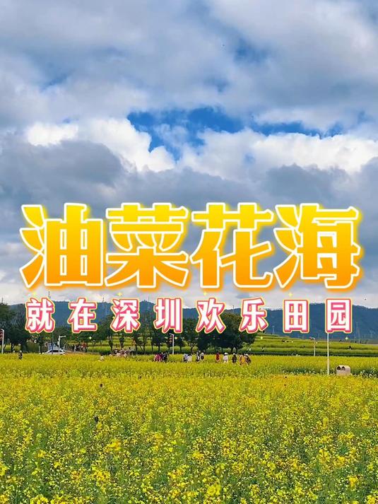 深圳必打卡!光明欢乐田园油菜花,美到出圈