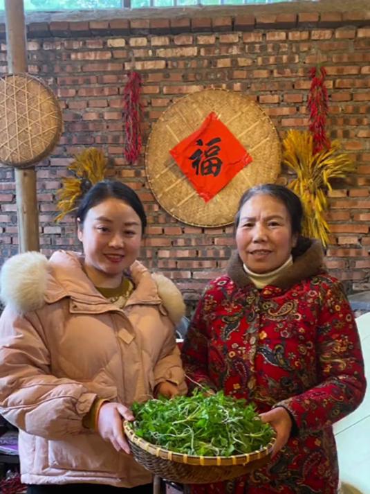 婆婆，今天喊我去后山挖地菜，学名叫荠菜，你们吃过这个菜吗