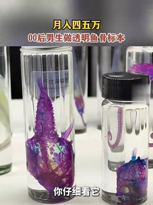 月入四五万!00后男生做透明鱼骨标本