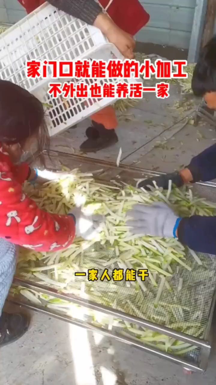 蔬菜烘干机,农产品烘干机,脱水蔬菜烘干机