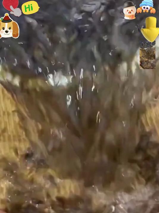 高钙小虾皮,替代鸡精味精,天然提鲜超安心
