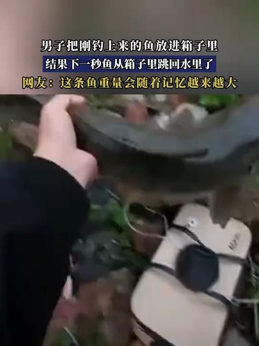 男子把刚钓上来的鱼放进箱子里,结果下一秒鱼从箱子里跳回水里了