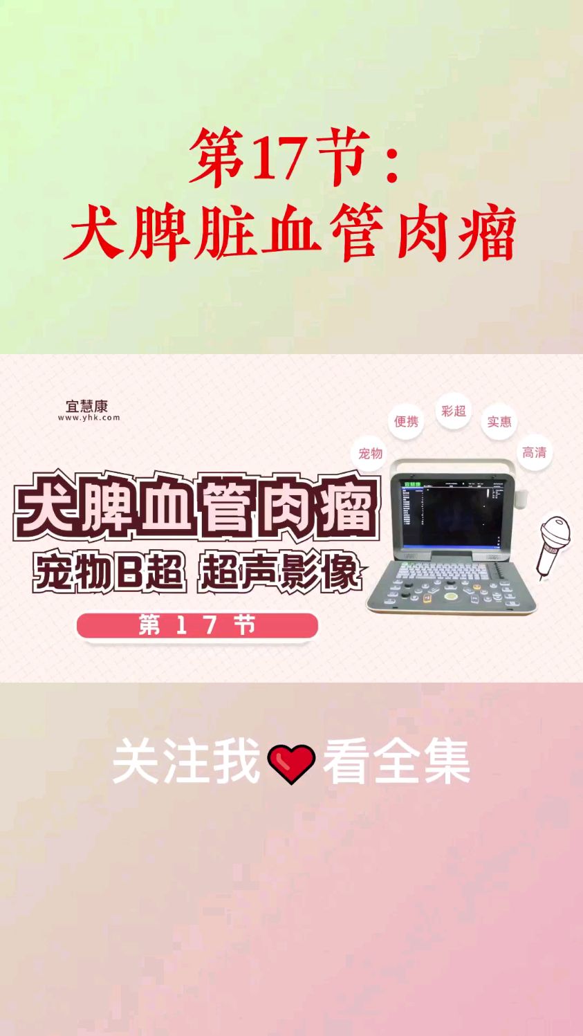 第17节:犬脾脏血管肉瘤的超声扫查影像
