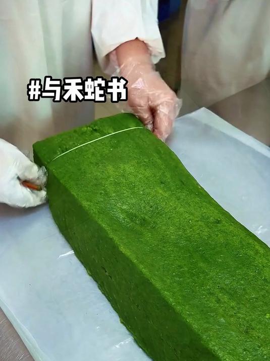 家里的菜花蛇也有小蛇书