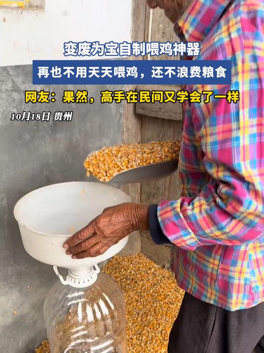 变废为宝自制喂鸡神器