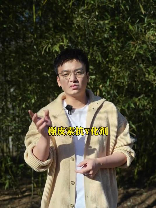 2023全球十大超级健康食物排行榜