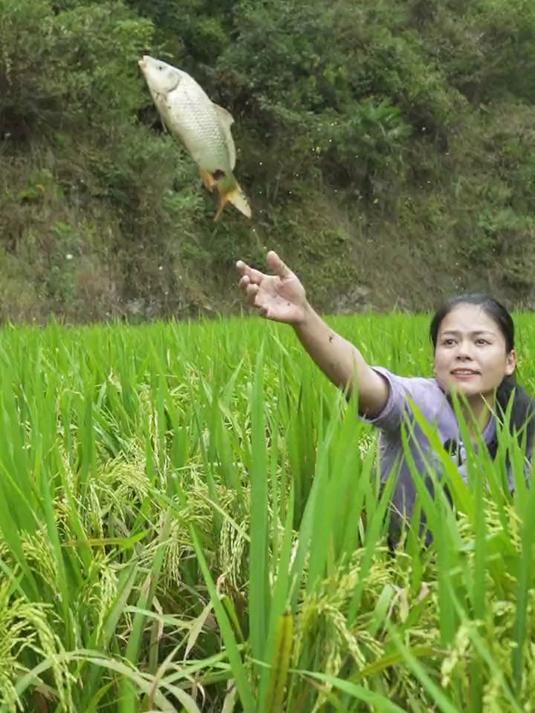 又到了丰收的季节 来一顿鲜美的稻花鱼 简直不要太好吃