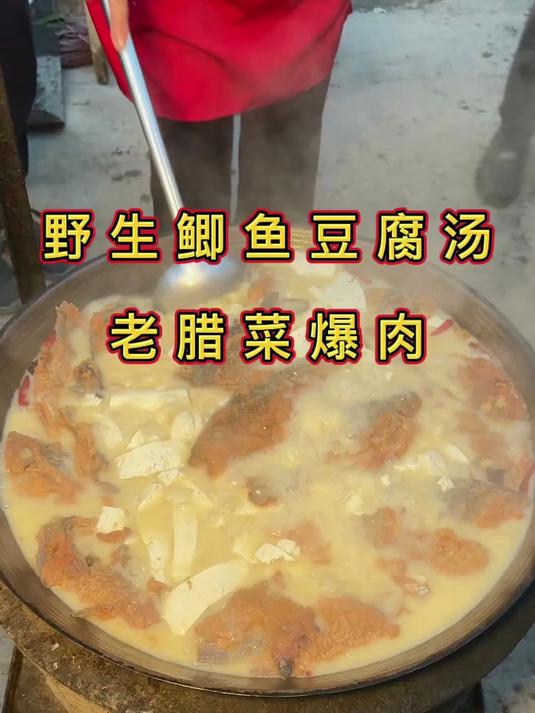 今日员工午饭——野生鲫鱼豆腐汤 老腊菜爆肉!