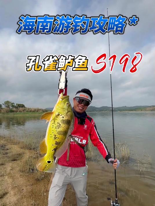 去海南旅游度假、钓鱼怎么玩,这份保姆级攻略速码!