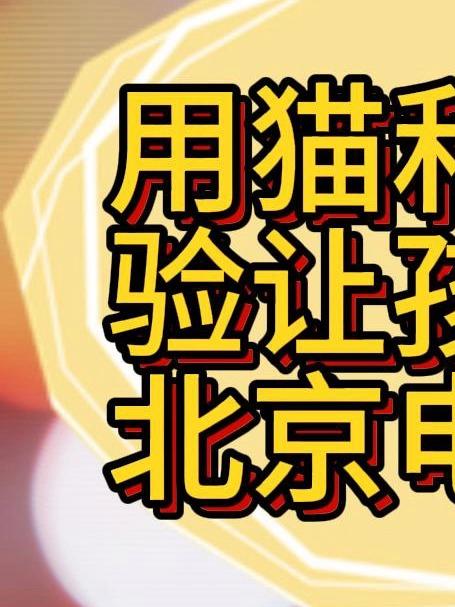 用猫和鱼的心理学实验让孩子考上北京电影学院