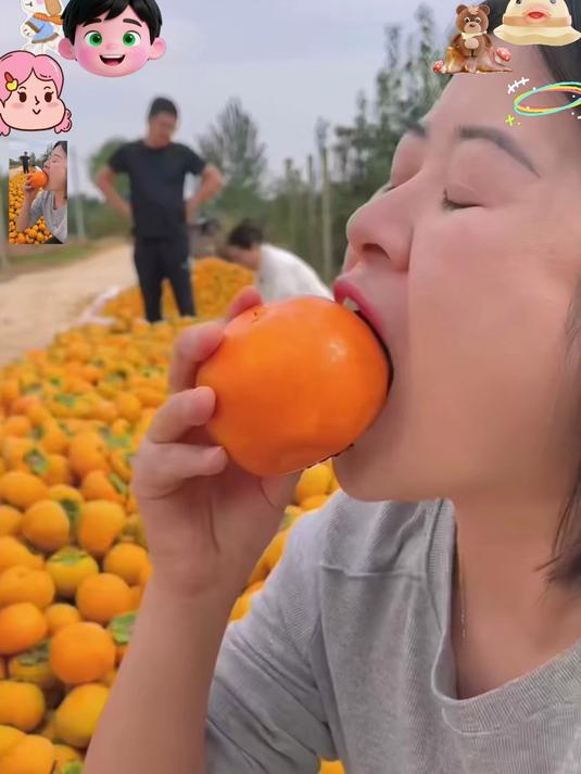 正宗巧克力柿子，果肉细腻，天然香甜超好吃！#春节#