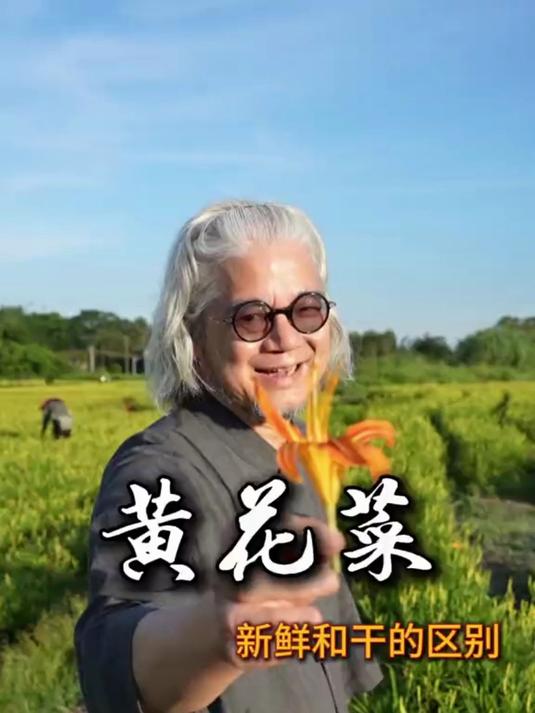 黄花菜新鲜和干的区别 看完你就明白