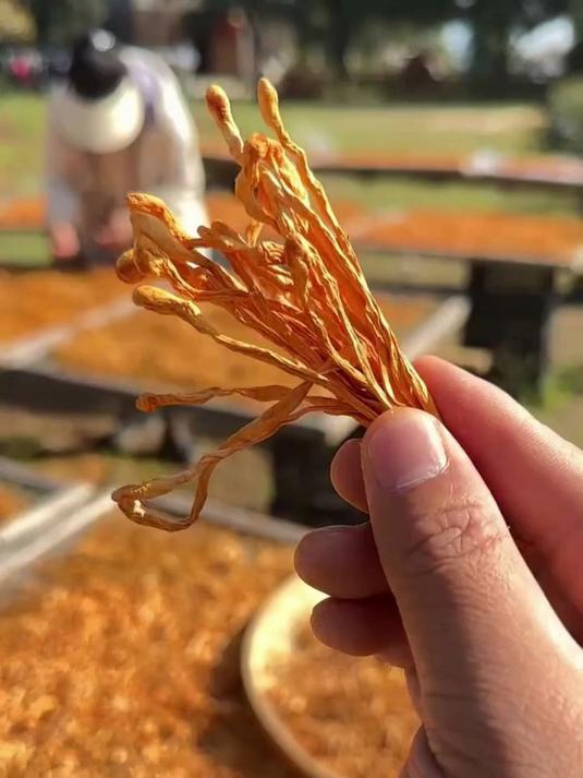 虫草花炖鸡汤,孩子连喝三碗