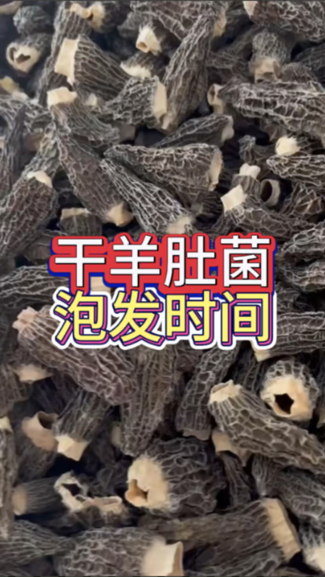 干羊肚菌泡发时间